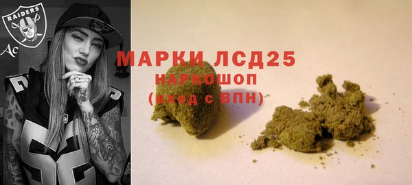 стафф Абинск