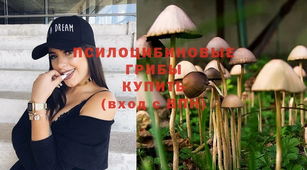 стафф Абинск